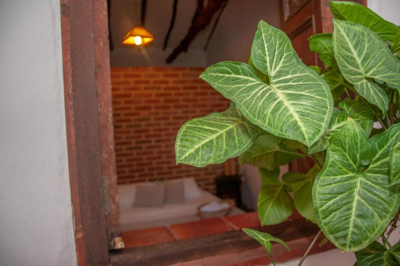 La Juanita Hostel Баричара Экстерьер фото